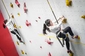 预约量突破2000万！《鹅鸭杀》官宣1月7日全平台公测